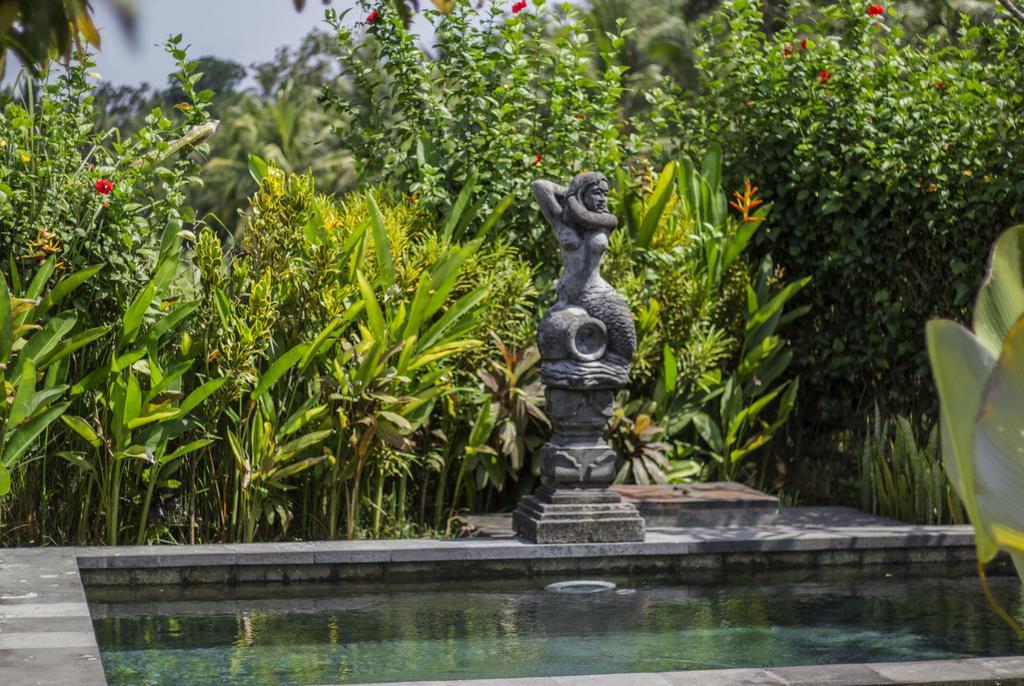 Willa Graha Rusni Ubud Pokój zdjęcie